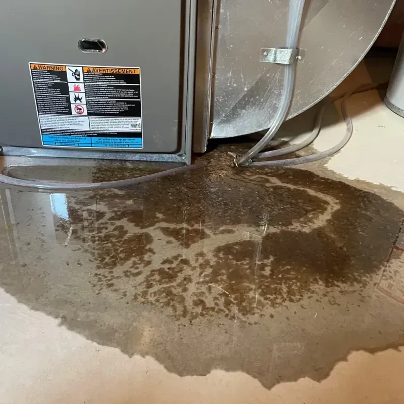 Appliance Leak Cleanup in Washington County, WI